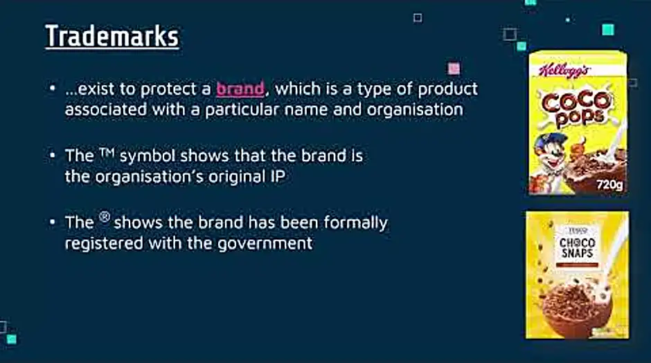 Does intellectual property includes copyright