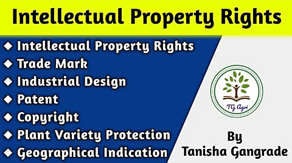 Intellectual property rights patent